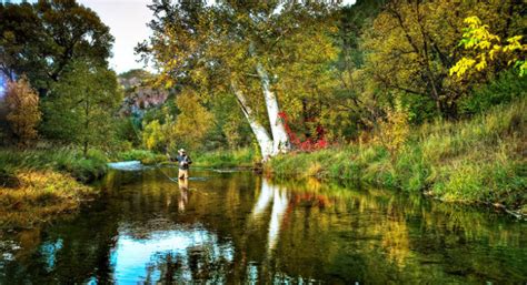 Gila River Festival Archives - The Gila Herald