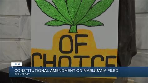 Constitutional amendment on marijuana filed