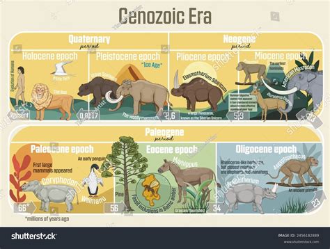 Cenozoic Era Geological Timeline Spanning Paleocene Stock Vector ...