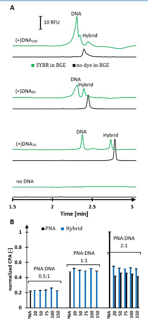 Figure 2 from Using Peptide Nucleic Acid Hybridization Probes for ...