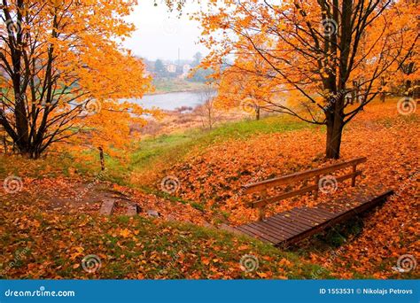 Orangeseasons Photos - Free & Royalty-Free Stock Photos from Dreamstime