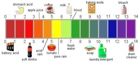 Acids And Bases You Can Find At Home - Home Rulend