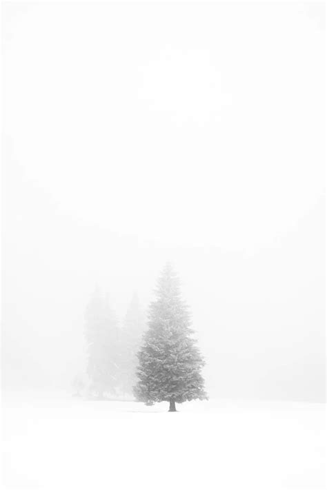 Winter Tree Print Minimalist Decor Printable Art 0165 - Etsy | Belles images, Decoration design ...