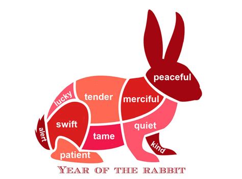 The Year of the Rabbit Traits - Rabbit Chinese Zodiac