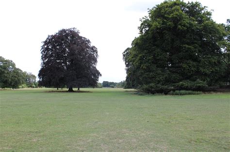 Inspiration at Scampston Hall, Yorkshire | Jack Wallington | Nature & Gardens