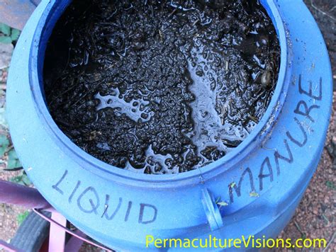 Weeds Are Good For Something - Liquid Manure - Permaculture Visions