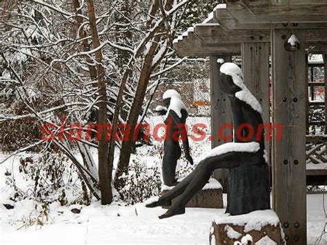 Winnipeg Images: Winter at Assiniboine park