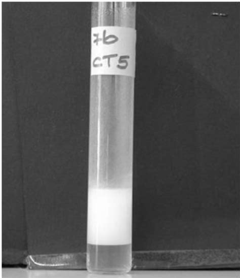 Example of emulsion produced by the bioemulsifier extracted from the... | Download Scientific ...