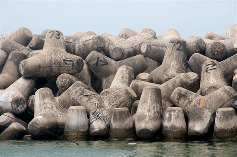 Concrete tetrapod anti-erosion devices, probably Japanese; undated ...