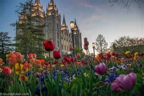 Spring Flowers On Temple Square Sightseeing Tour | City Sights Utah