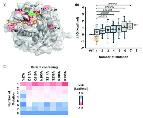 ∆∆G of PETase variants using the iterative in silico alanine scanning... | Download Scientific ...