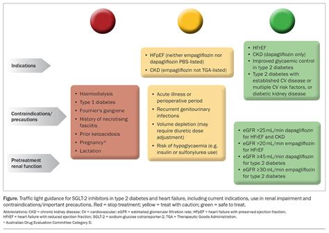 SGLT-2 inhibitors: the gift that keeps on giving | Medicine Today