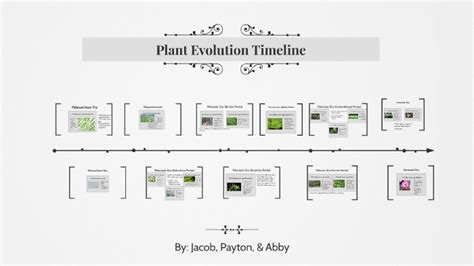 Plant Evolution Timeline by Abby Opsal on Prezi