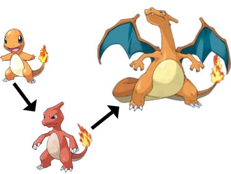 Evolution - The Physics Of pokemon