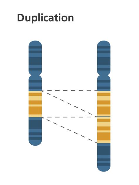 What is a chromosome disorder? | Chromosome, Chromosomal abnormalities ...