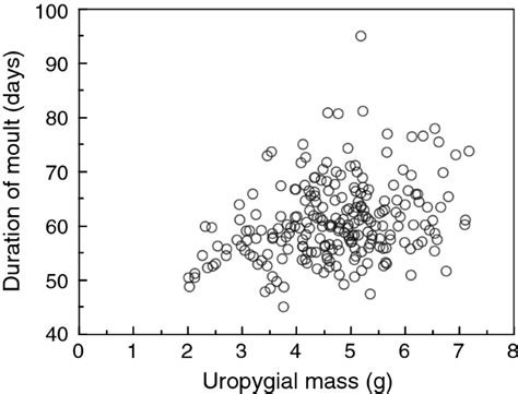 Function of the uropygial gland in eiders (Somateria mollissima) | Avian Research | Full Text