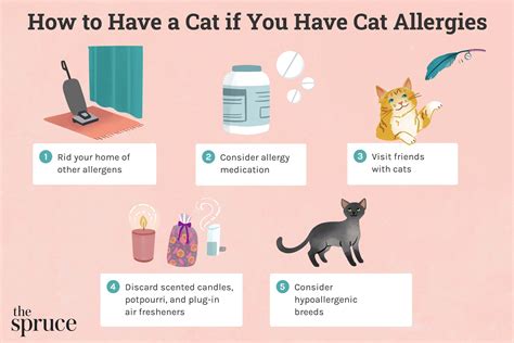 How to Have a Cat If You Have Cat Allergies