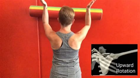 Best Winged Scapula Exercises Fix Scapular Winging Treatment Serratus ...