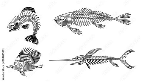 Black bass fish skeleton flat set for web design. Vintage monochrome ...