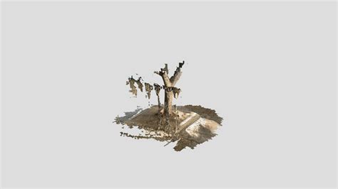 iPad Pro 2020 LIDAR LO scan using 3D Scanner App - Download Free 3D model by satishgoda [b714f63 ...