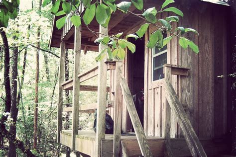 Edisto River Treehouses | Gallivant