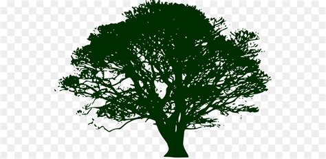 Tree Silhouette Swamp Spanish oak Clip art - narratree png download ...