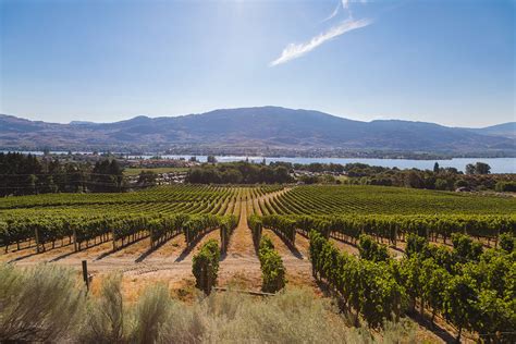 Sip Happens Full-Day Wine Tour | Comfort Suites Kelowna