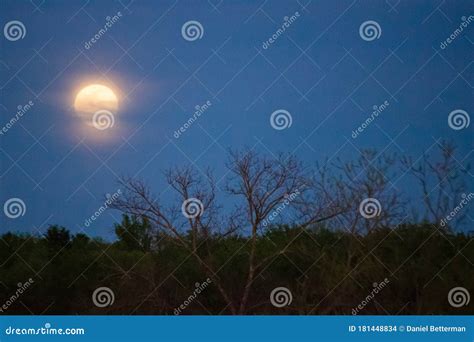 Soft Full Moon in the Evening Sky Stock Photo - Image of lunar ...