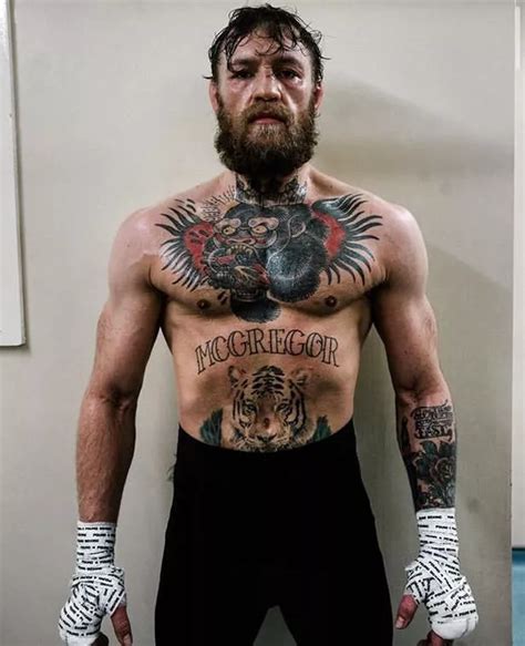 Conor McGregor UFC News: Notorious lifts weights and trains boxing ...