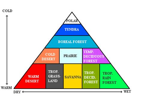 How many biomes are there? + Example