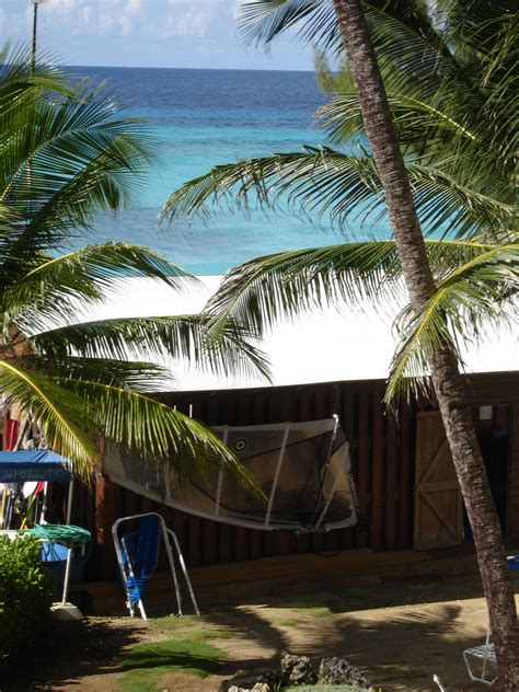 Turtle Beach Resort, Barbados | Beach resorts, Resort, Turtle beach