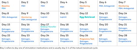 donor egg ivf protocol calendar - allcorn-guadalupe