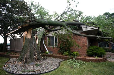 A Tree Fell On My Roof. What Do I Do About It? - K&P Roofing, Siding ...