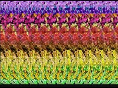 animal stereogram - YouTube