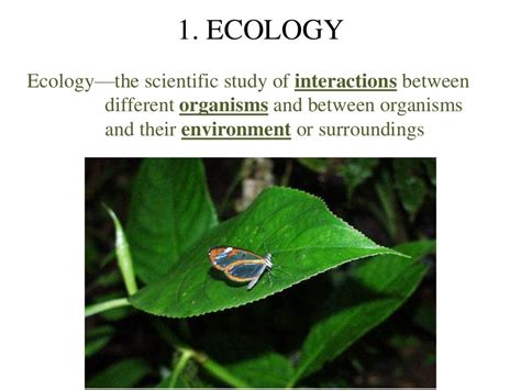 Lesson 1. concept of ecology