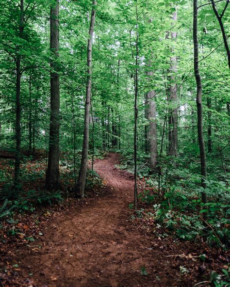 Cane Creek MTB Trail Multi Trail - Cookeville, Tennessee