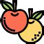 Fruit orange organic plant vitamin free vector icon - Iconbolt