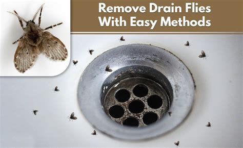 HOW TO CLEAR A CLOGGED FLOOR DRAIN IN DENVER?