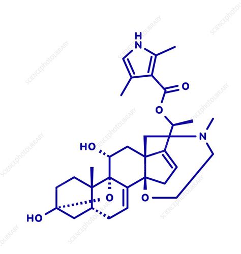 Batrachotoxin neurotoxin molecule, illustration - Stock Image - F028/2143 - Science Photo Library