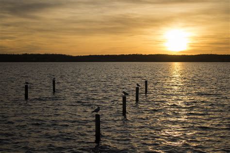 Sunset at Solomons Island, Maryland : pics