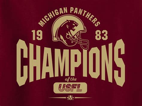 Michigan Panthers 1983 USFL Champions | Nfl football players, Football helmets, Nfl football