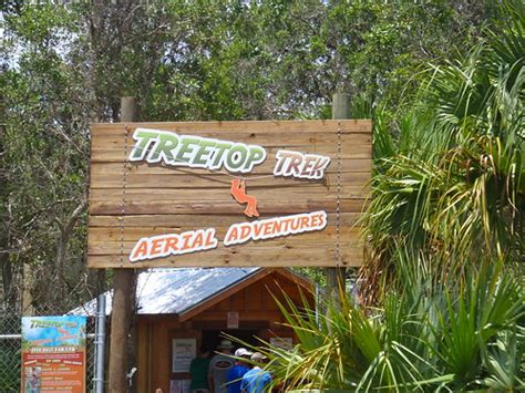 Treetop Trek | Adventures of Four