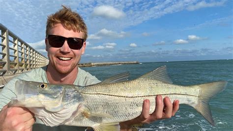 Sebastian Fishing Report: Snapper, flounder, and snook at Sebastian Inlet – Sebastian Daily