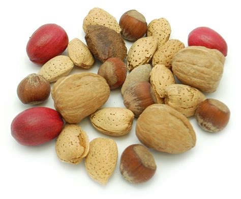 In Shell Deluxe Mixed Nuts Bulk Bag-00522