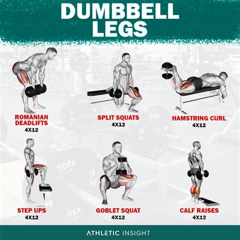 Dumbbell Legs Workout : r/workouts