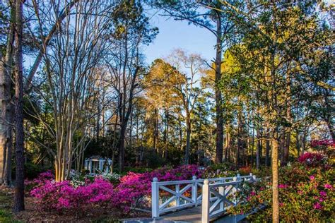 34 Best & Fun Things to Do in Summerville (SC) | The Tourist Checklist