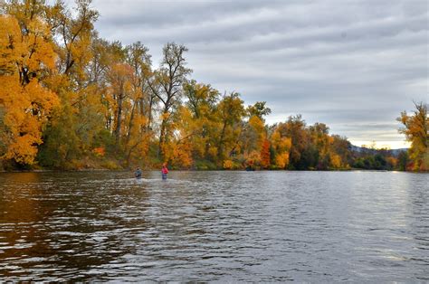 Trinity River | CA Fishing Reports