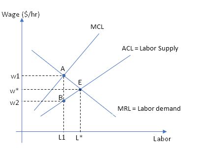 Based on the model of labor market, how does the monopsonist employer ...