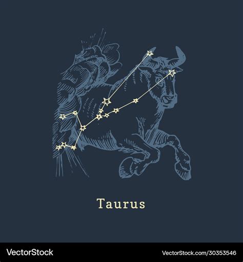 Zodiac constellation taurus in engraving style Vector Image