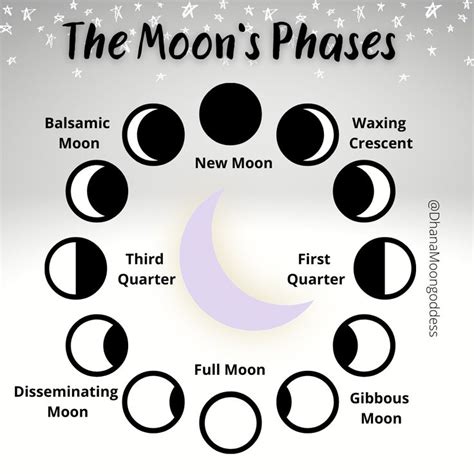 The Moon’s Phases in 2022 | Moon phases, Moon, New moon